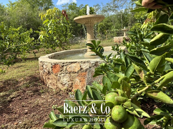 photo 18 A Private Yucatán Estate — A Life of Privacy, Nature and Independence